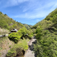 画像249