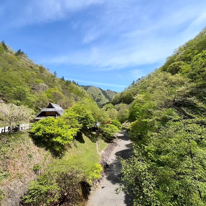 画像249