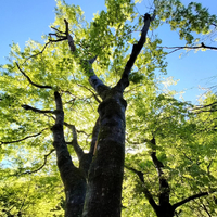 画像272