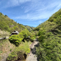 画像280