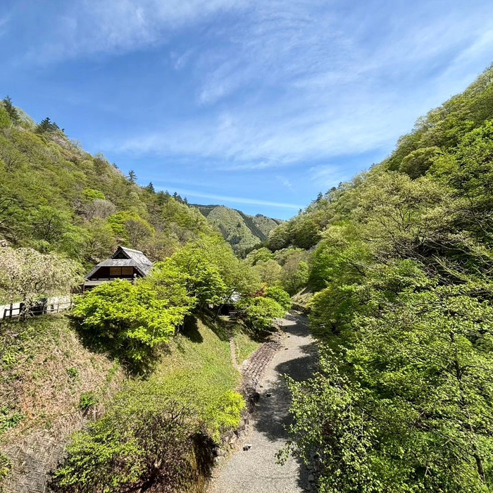 画像280