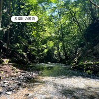 画像510