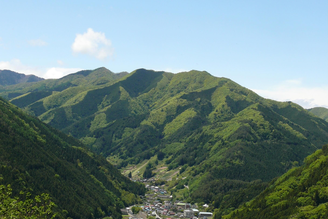 画像730
