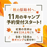 画像839