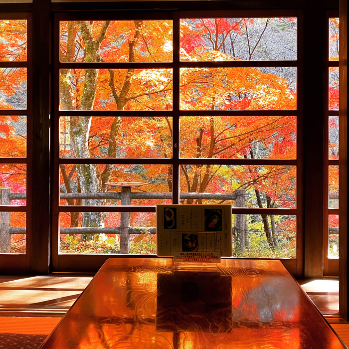 画像841